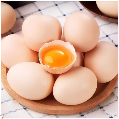 淄博泽宇高青鸡蛋
