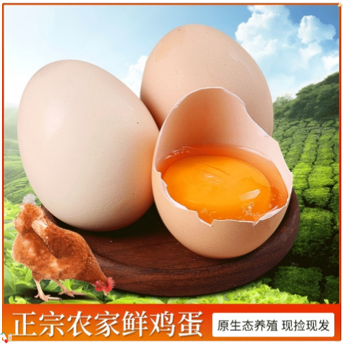 淄博泽宇高青鸡蛋