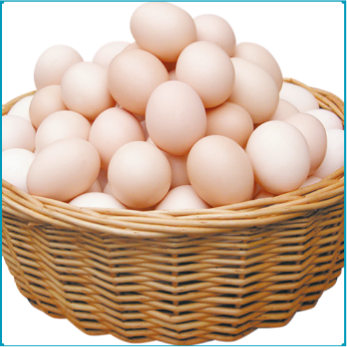 德州丹源蛋