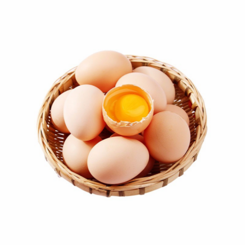 山东峪口济宁百日鸡蛋
