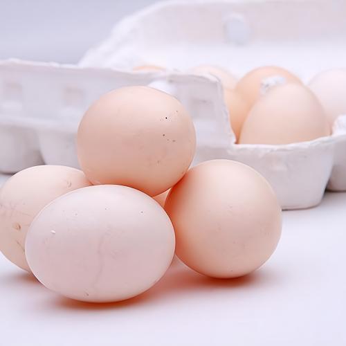 山东欣农五黑鸡蛋