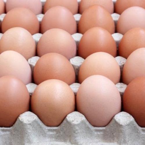 盐城鸡蛋
