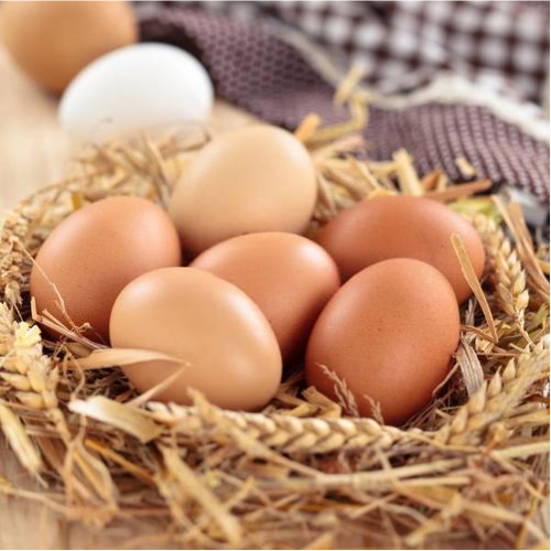常州土鸡蛋