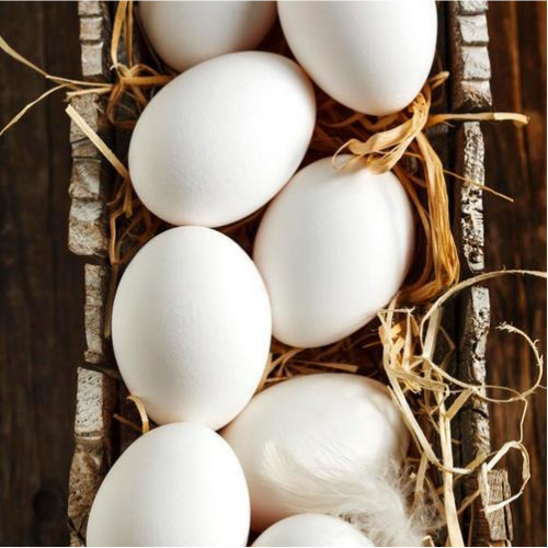 宜兴市山前草鸡蛋