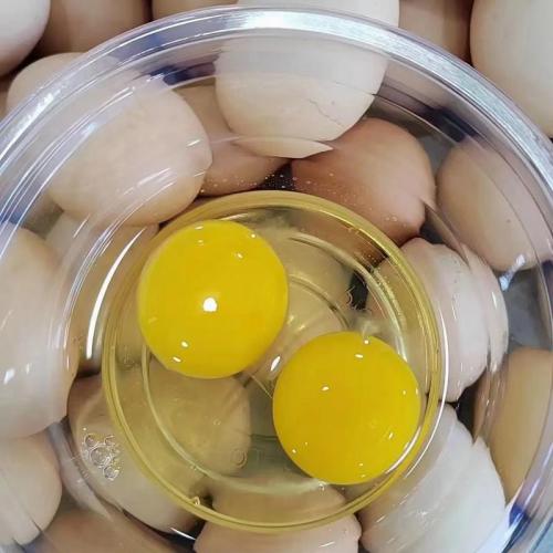 宜兴市山前草鸡蛋