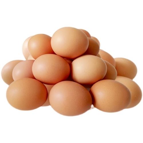 沭阳县绿皮青壳鸡蛋