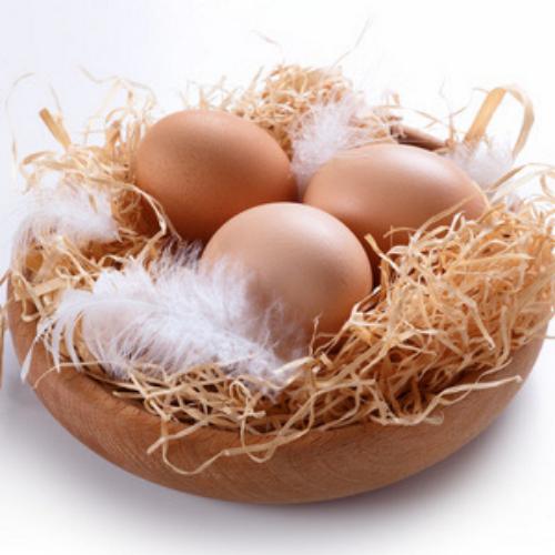 廊坊鸡蛋