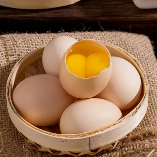 源汇鸡蛋
