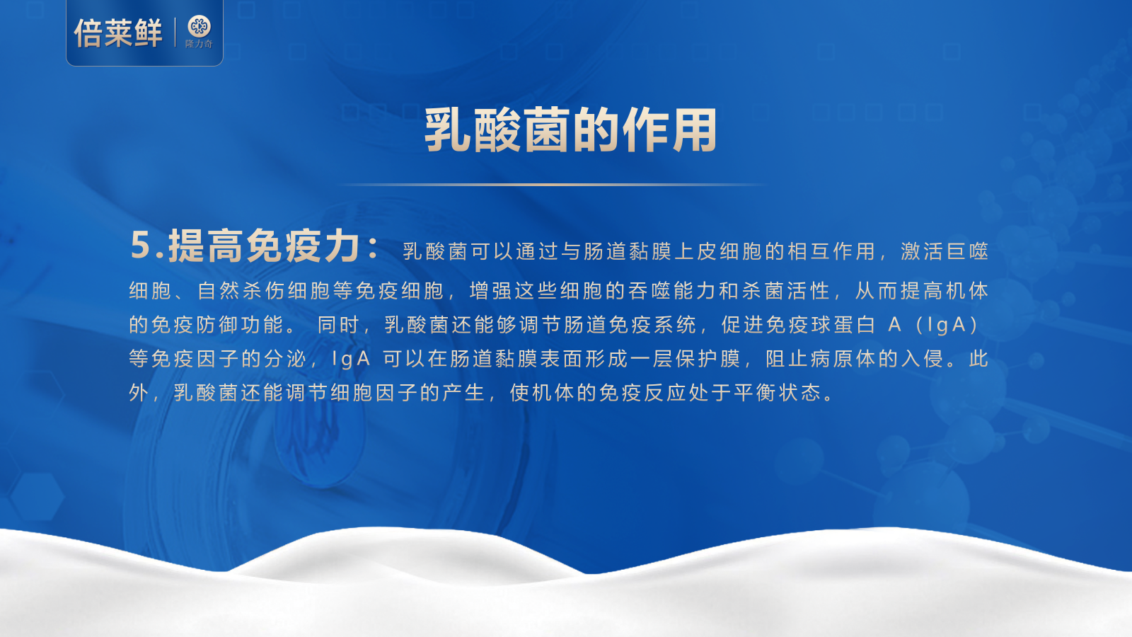 倍莱鲜 白芸豆提取物乳酸菌羊乳粉运动营养食品（耐力类）2025_11.png