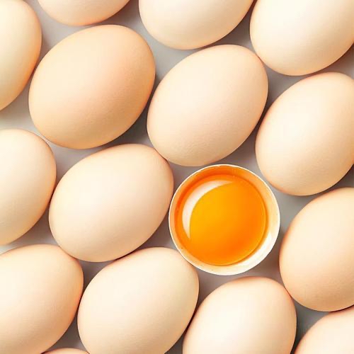 运城鸡蛋/预售订购单