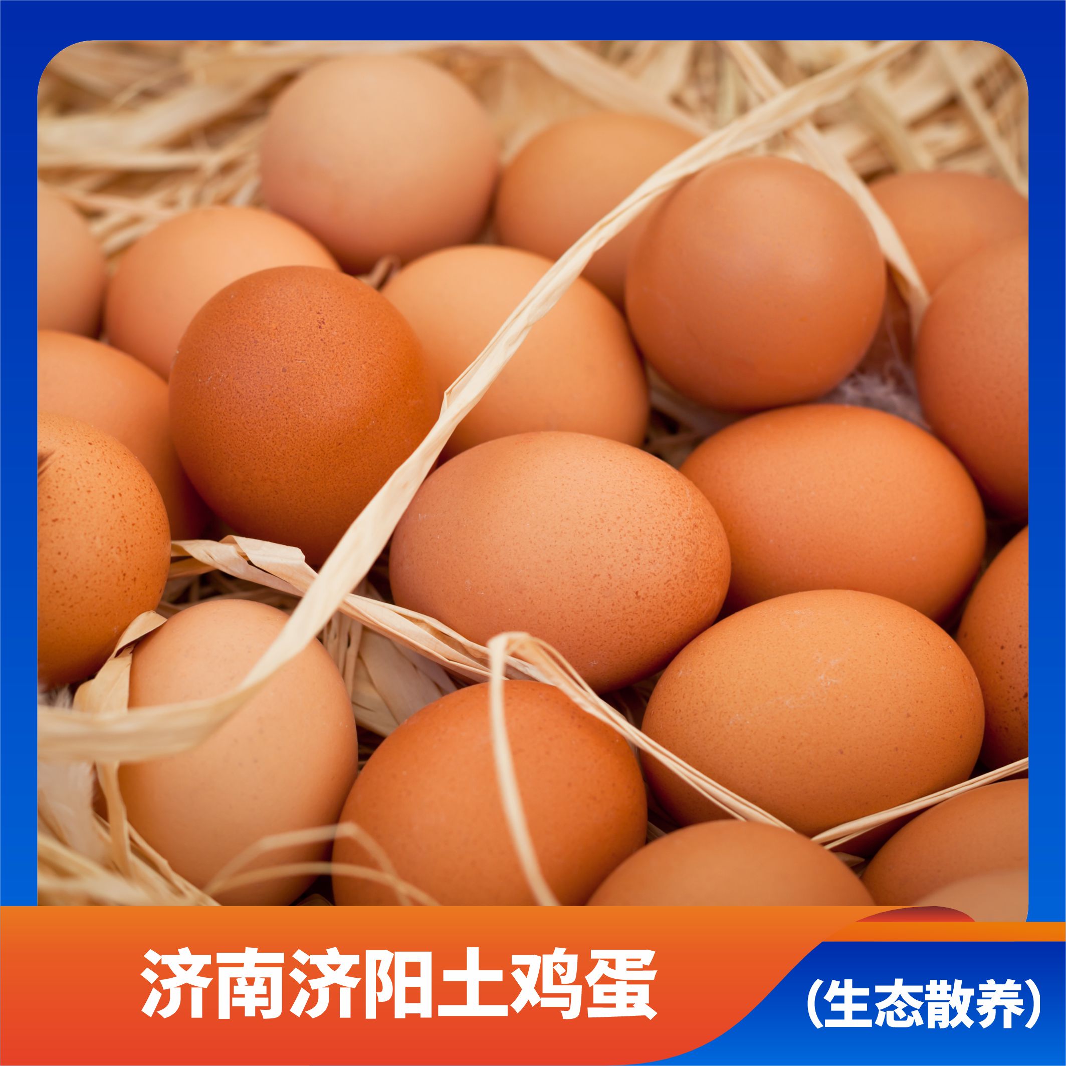 济南济阳土鸡蛋/轻型冷链车