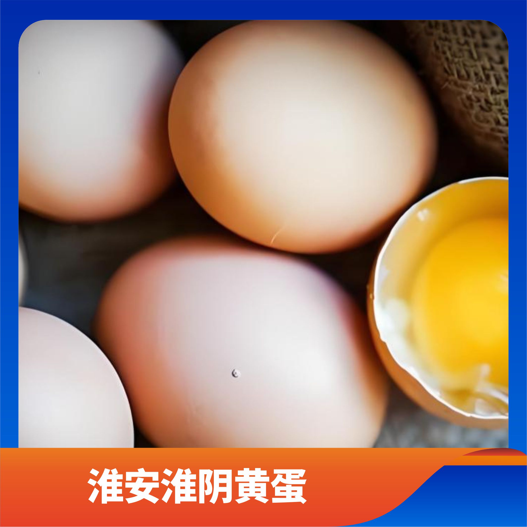 淮安淮阴黄蛋/预售订购单