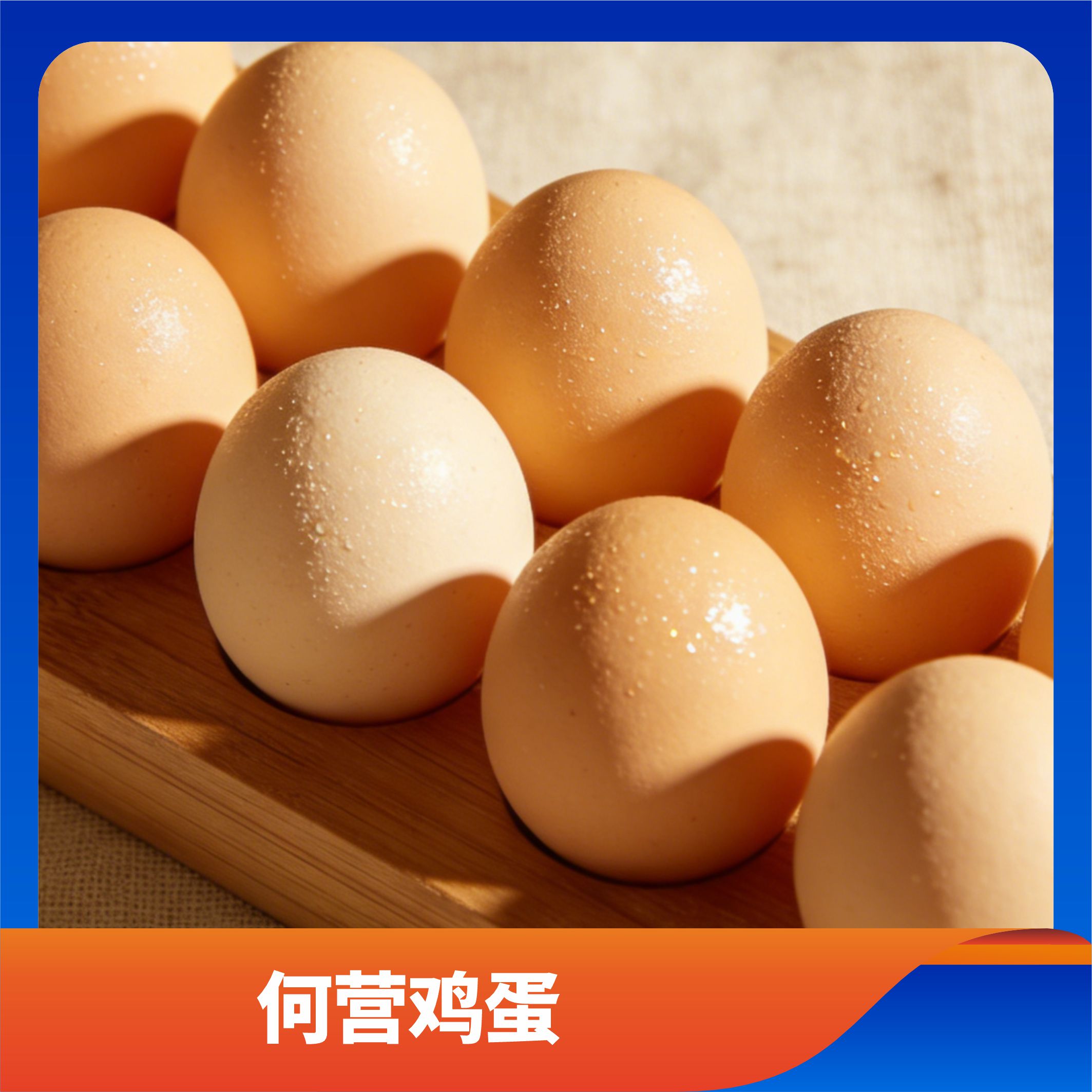 何营鸡蛋/预售订购单