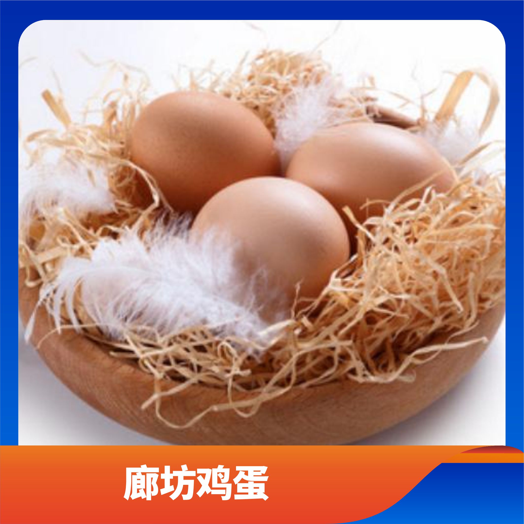 廊坊鸡蛋/预售订购单