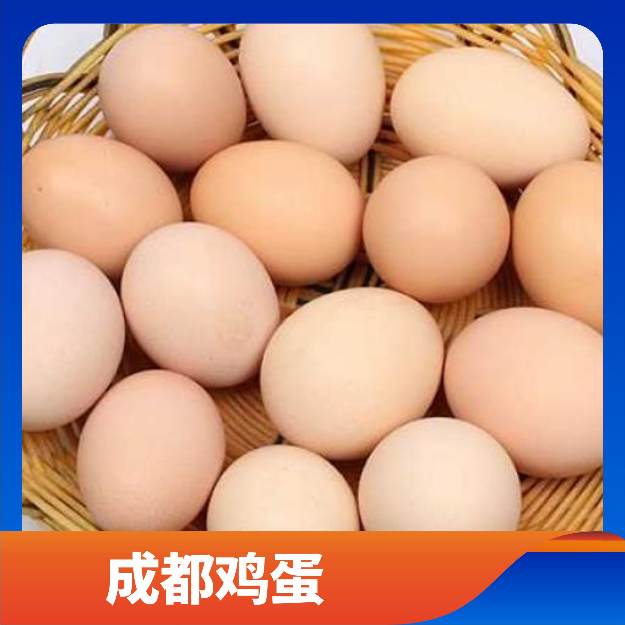 成都鸡蛋/预售订购单
