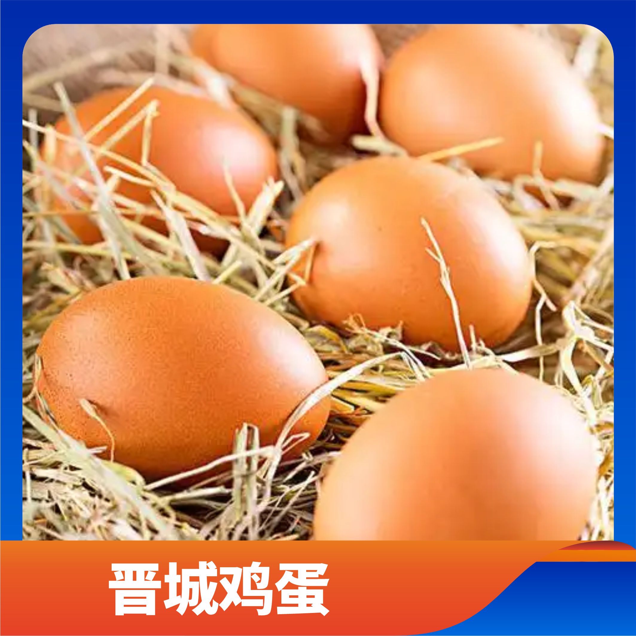 晋城鸡蛋/预售订购单