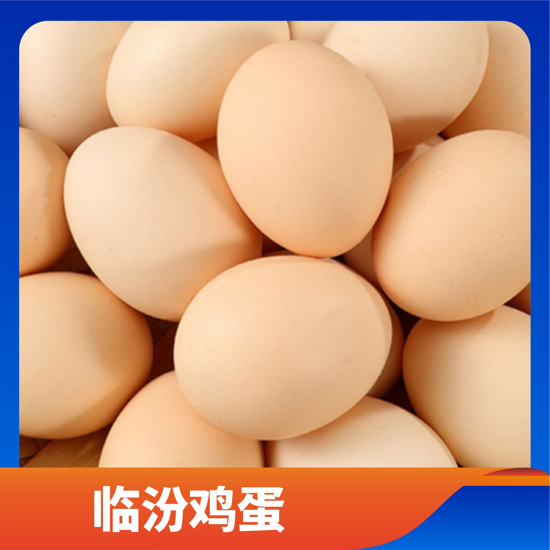 临汾鸡蛋/预售订购单