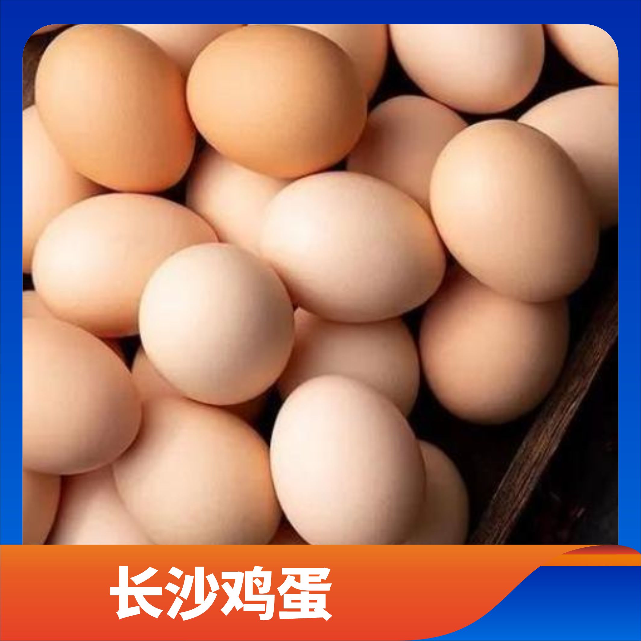 长沙鸡蛋/预售订购单