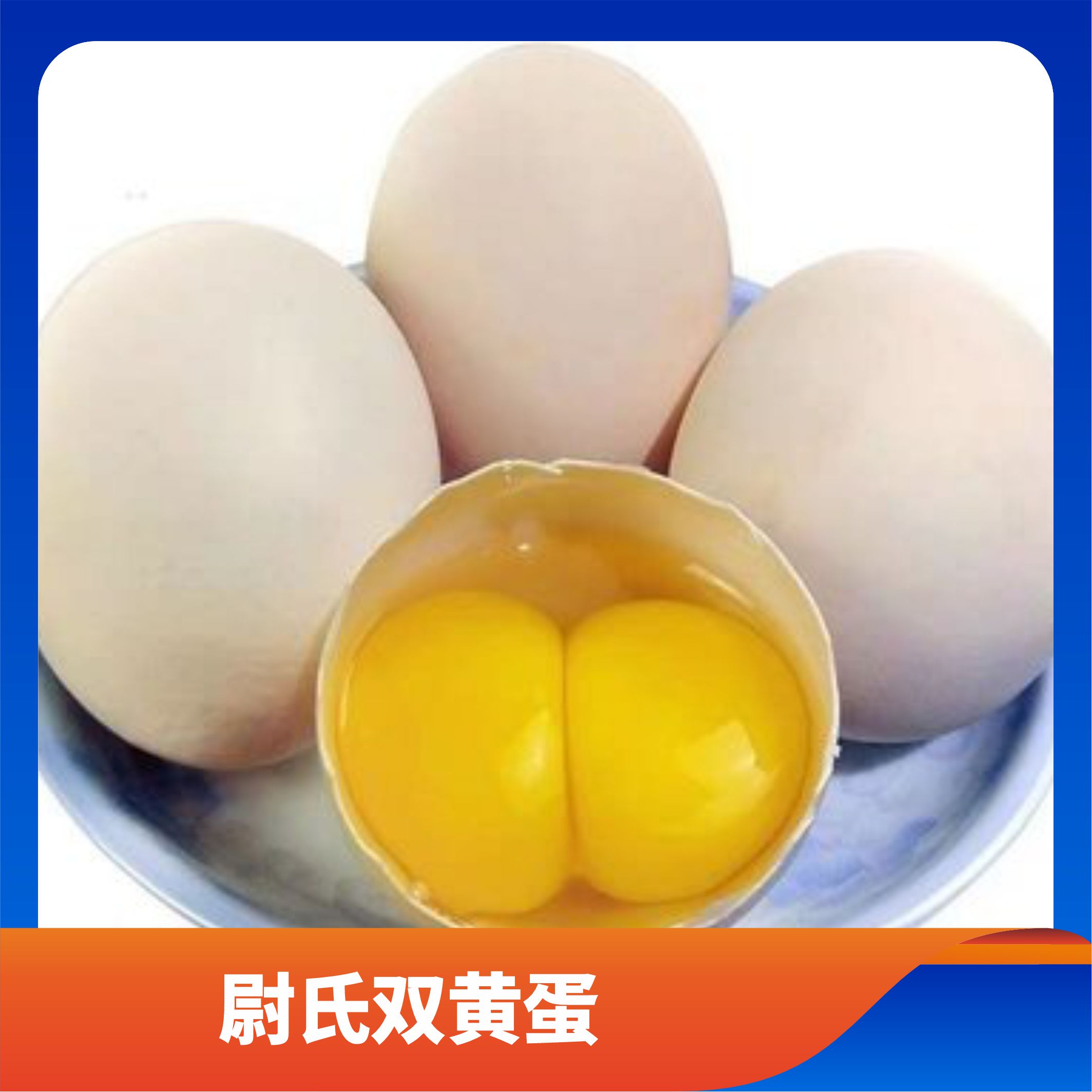 尉氏双黄蛋/预售订购单