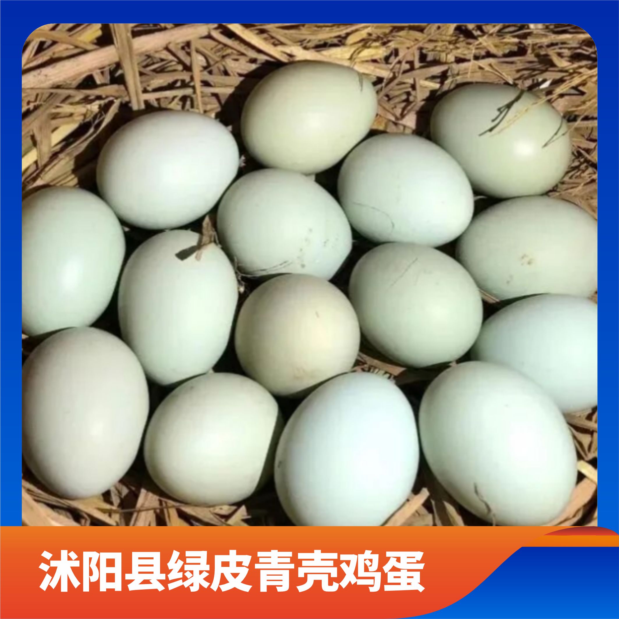 沭阳县绿皮青壳鸡蛋/预售订购单