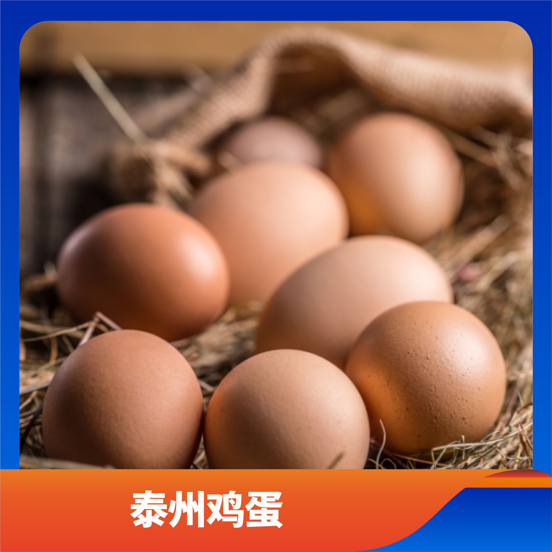 泰州鸡蛋/预售订购单