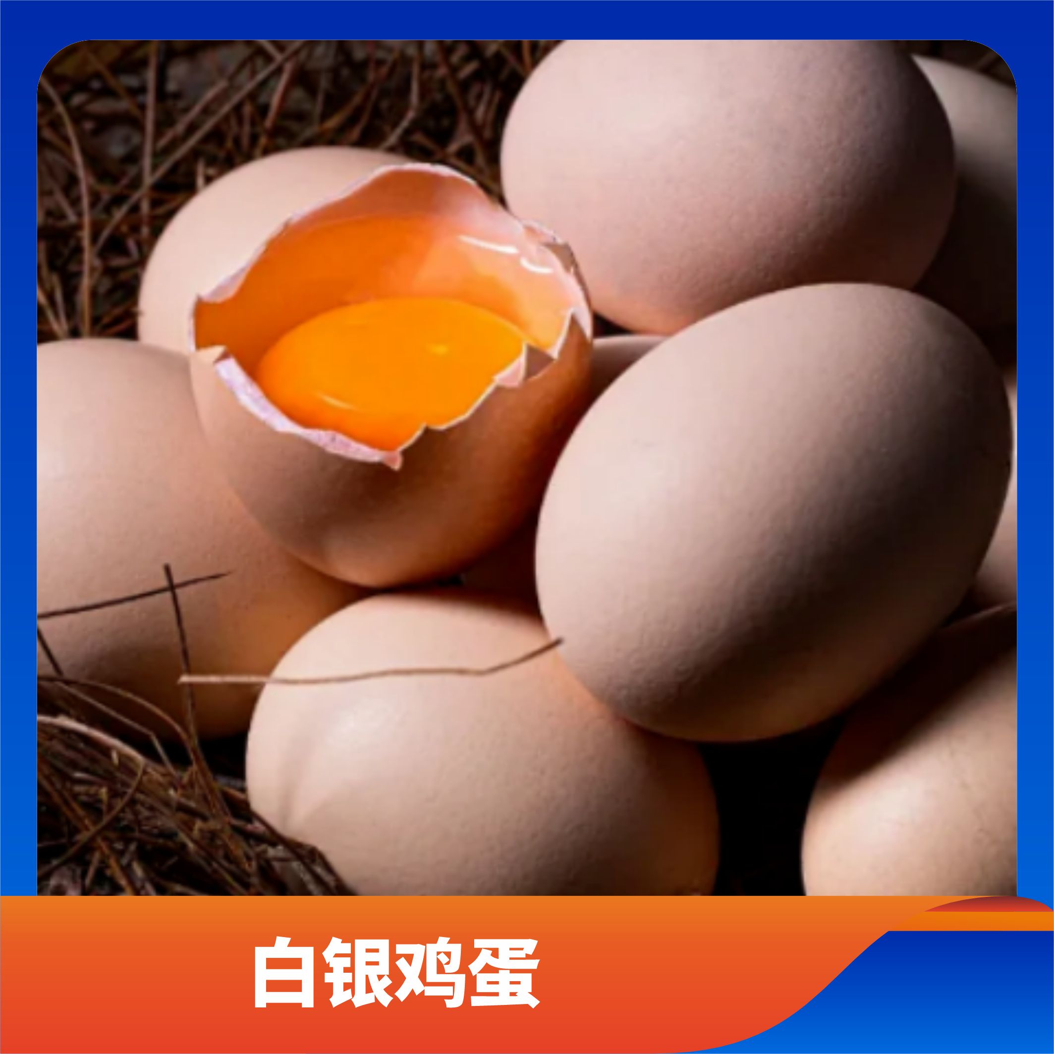 白银鸡蛋/预售订购单