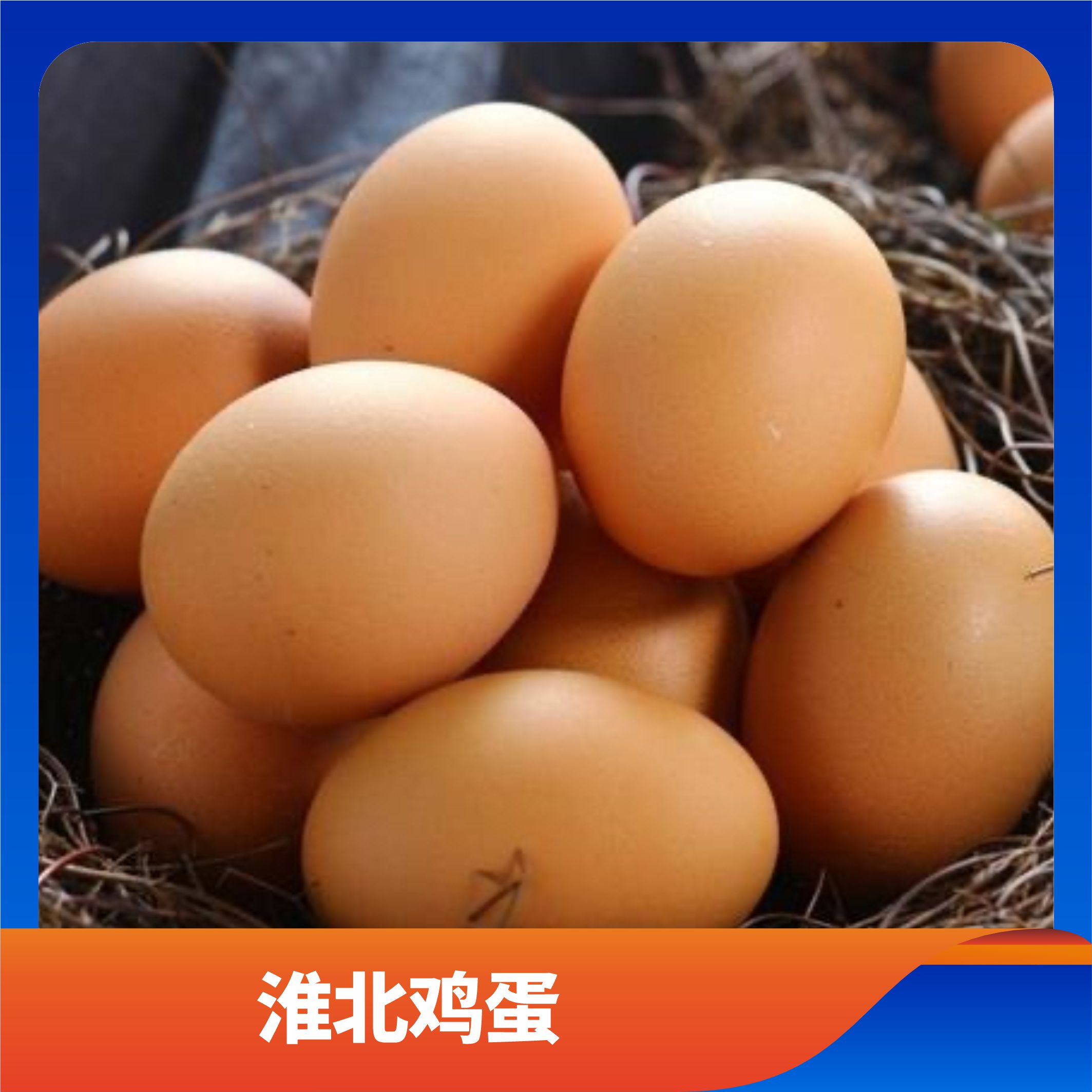淮北鸡蛋/预售订购单
