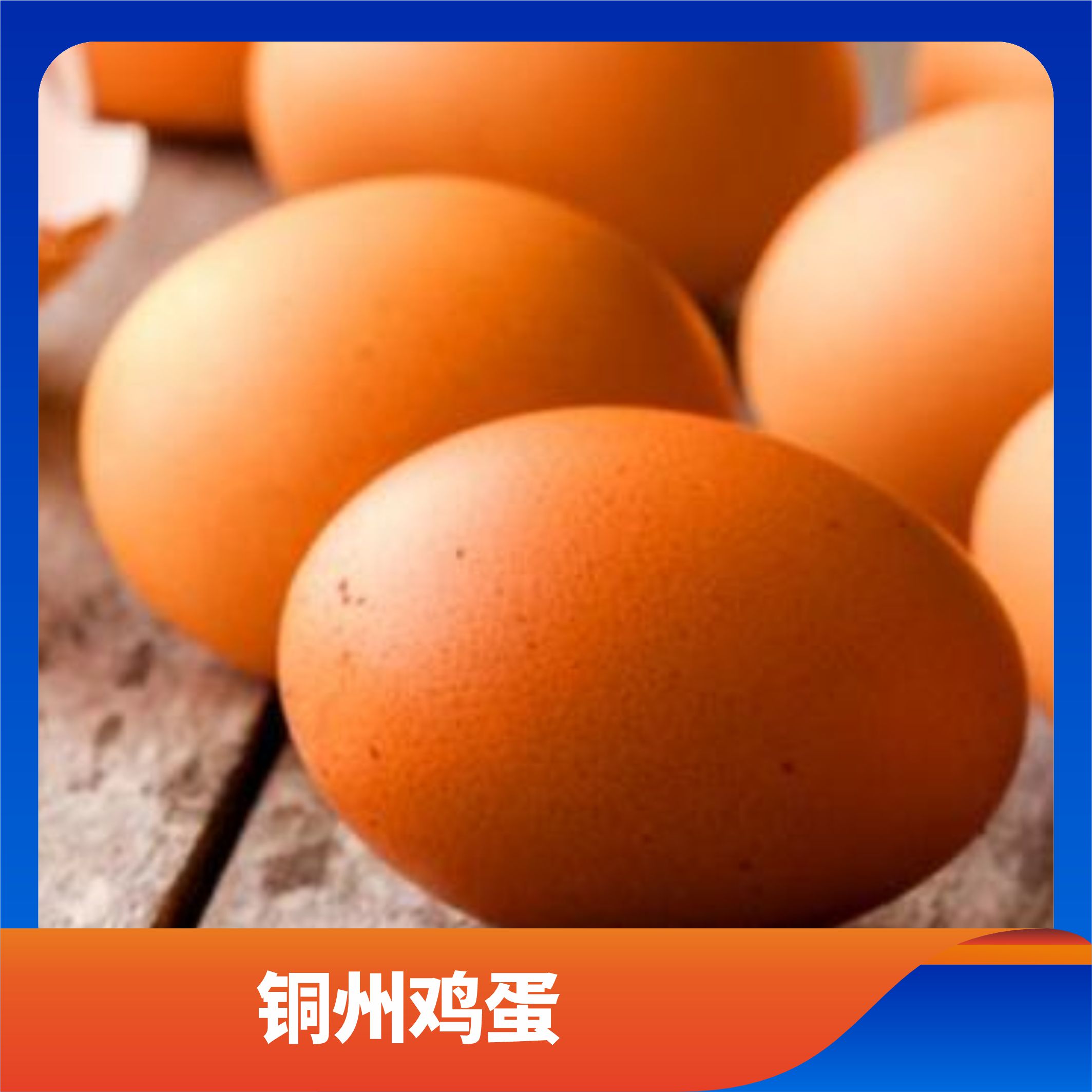 铜州鸡蛋/预售订购单